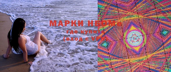стафф Арсеньев