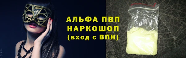 стафф Арсеньев