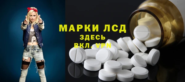 стафф Арсеньев