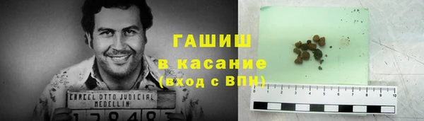 стафф Арсеньев