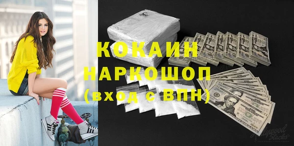 стафф Арсеньев