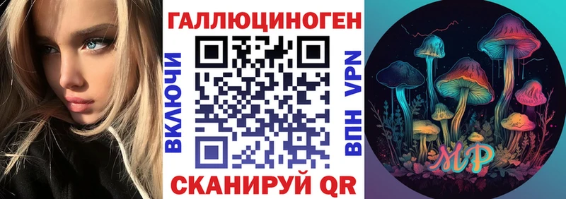 kraken ТОР  Цивильск  Галлюциногенные грибы Psilocybe 