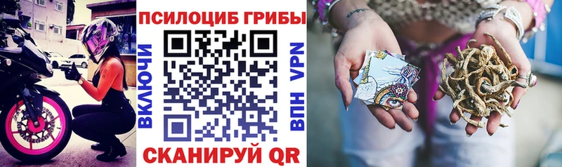 Псилоцибиновые грибы Magic Shrooms Цивильск