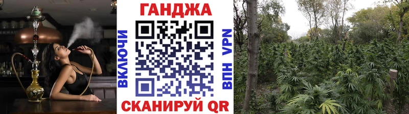 Канабис планчик  купить наркотик  Цивильск 